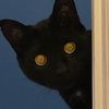kitty31475